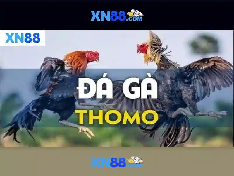 💎tỷ lệ cá cược bóng đá đông nam á💎