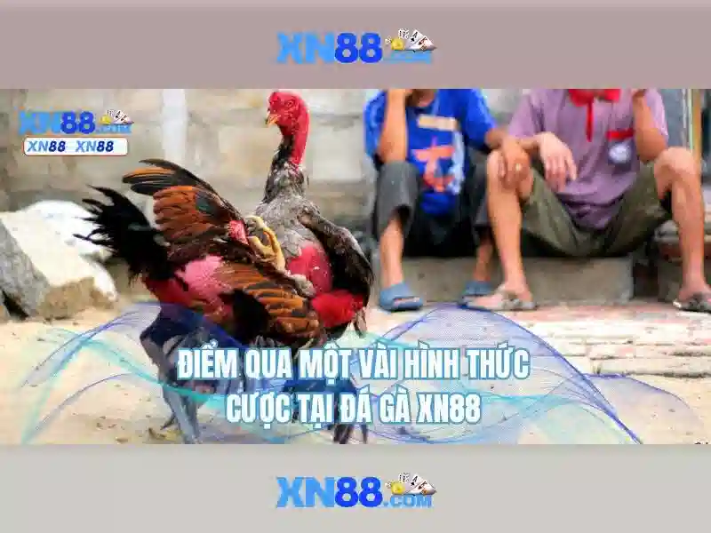 💎cá cược cá cược ev88💎