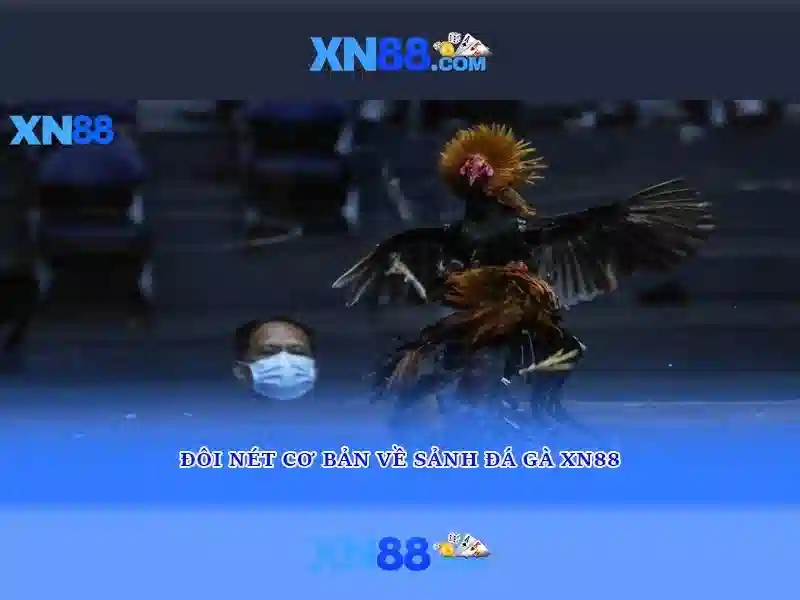 💎cách gắn lại mắc cài tại nhà💎