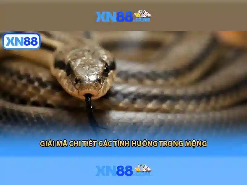 💎nhà cái uy tín cscn💎