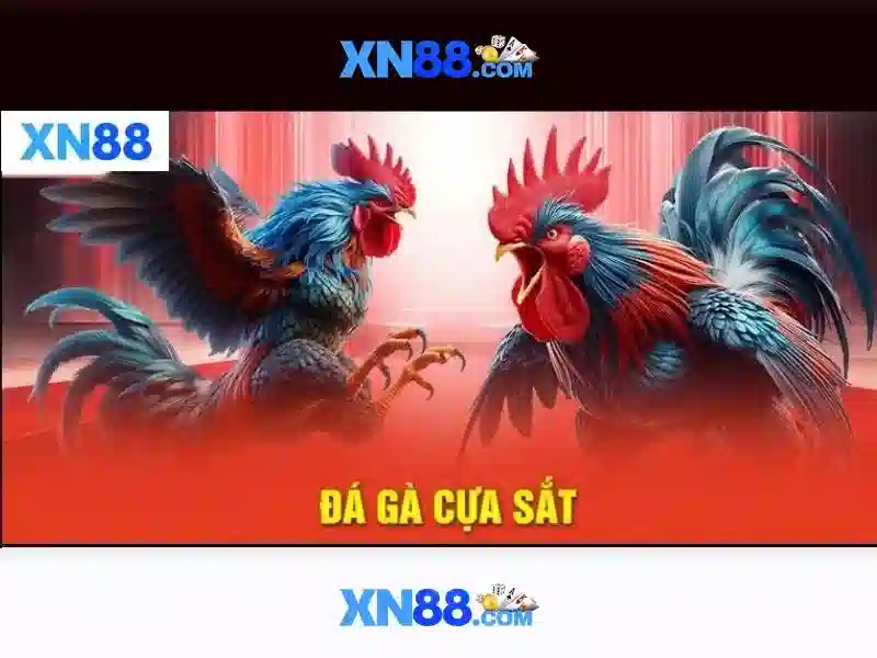 💎kèo nhà cái việt nam và úc💎