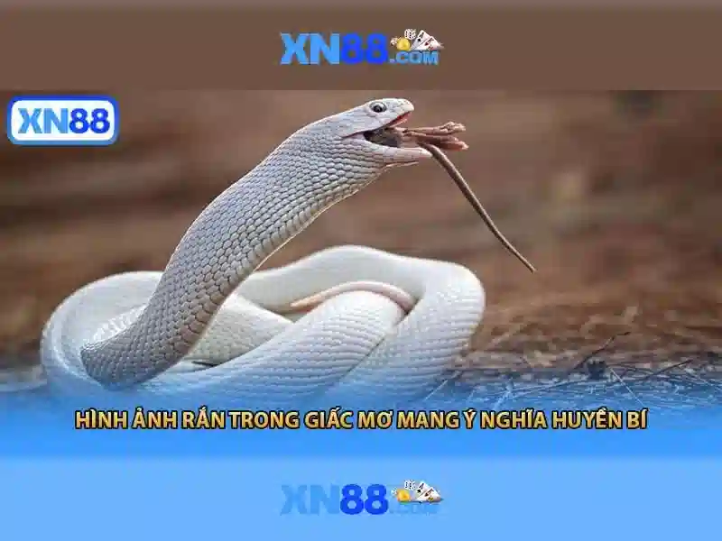 💎kèo nhà cái tekmica💎