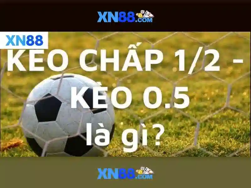 💎slot and filler💎