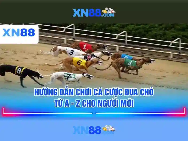💎koopmeiners hb88 slot💎