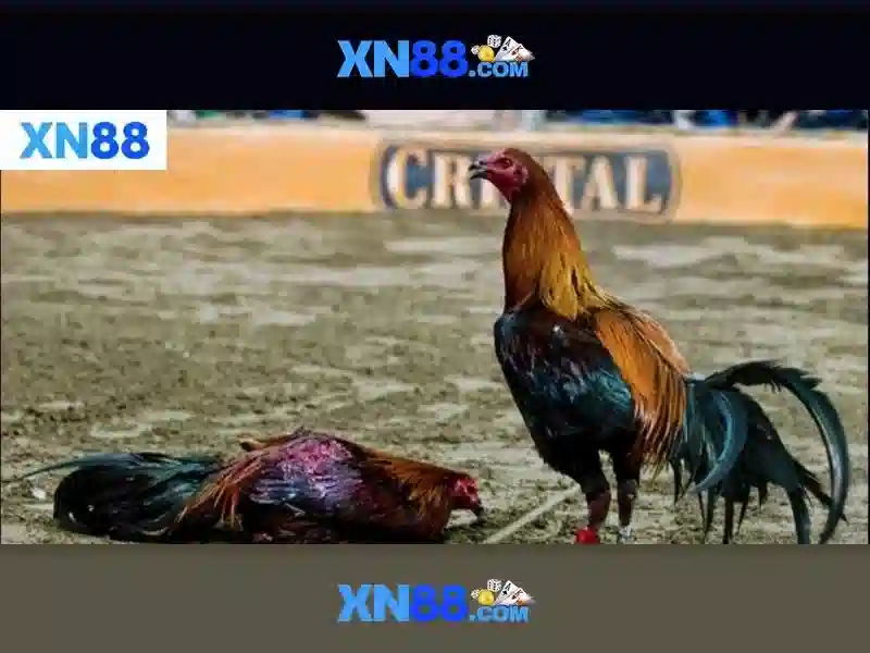 💎nha cai uy tin 777.com💎