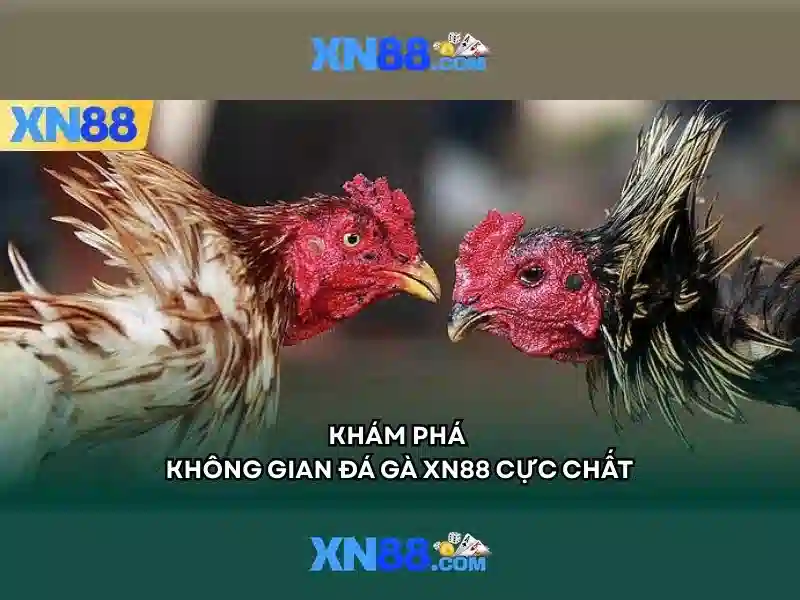 💎cuộc tấn công của cá mập💎