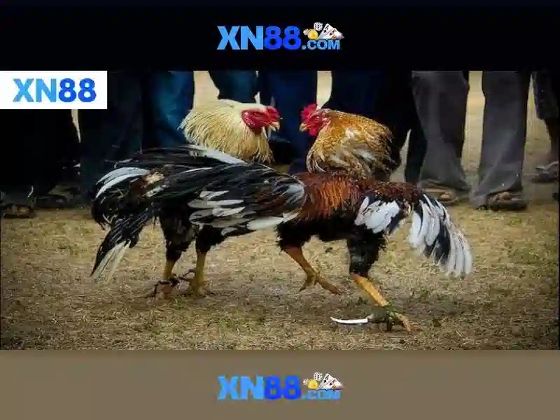 💎xn88 trang chủ💎 - xn88 app.com - nổ hũ xn88