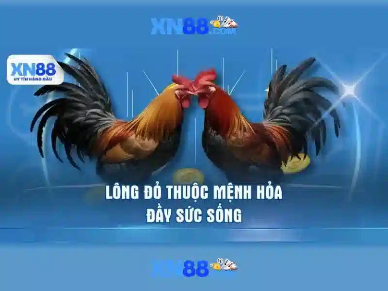 💎đánh bạc 10 nghìn tỷ💎