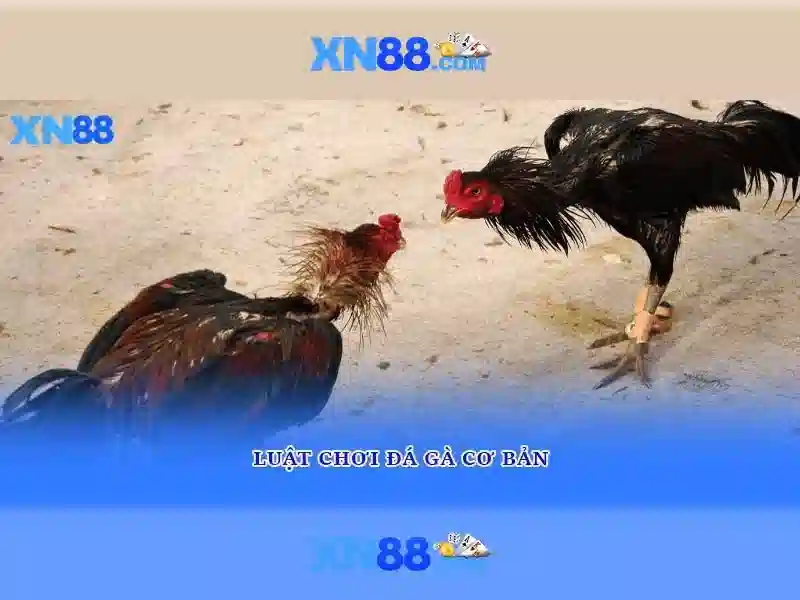 💎mustang 888 slot💎 - mpo slot 888 - 888slots app