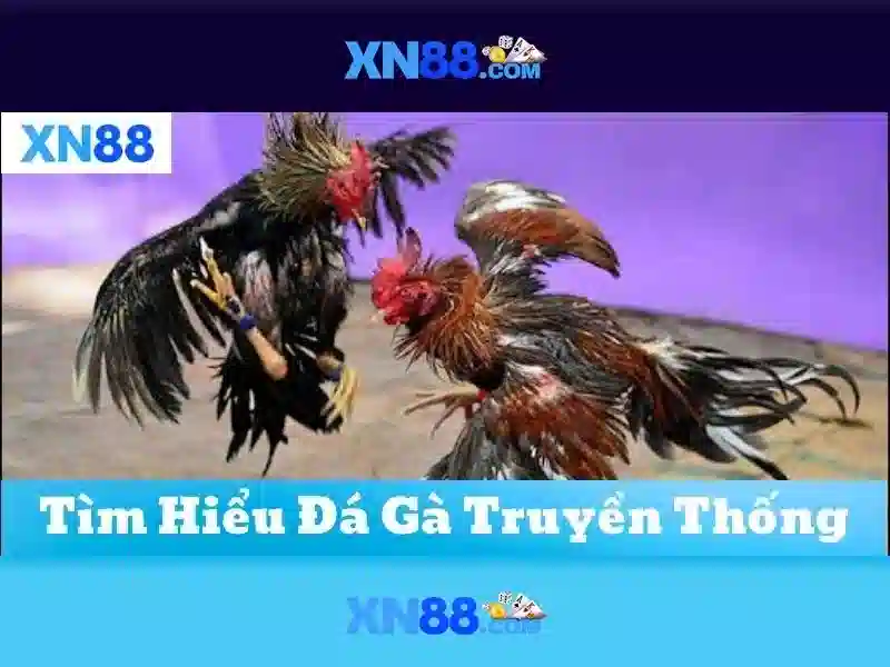 casino trực tuyến - XN88