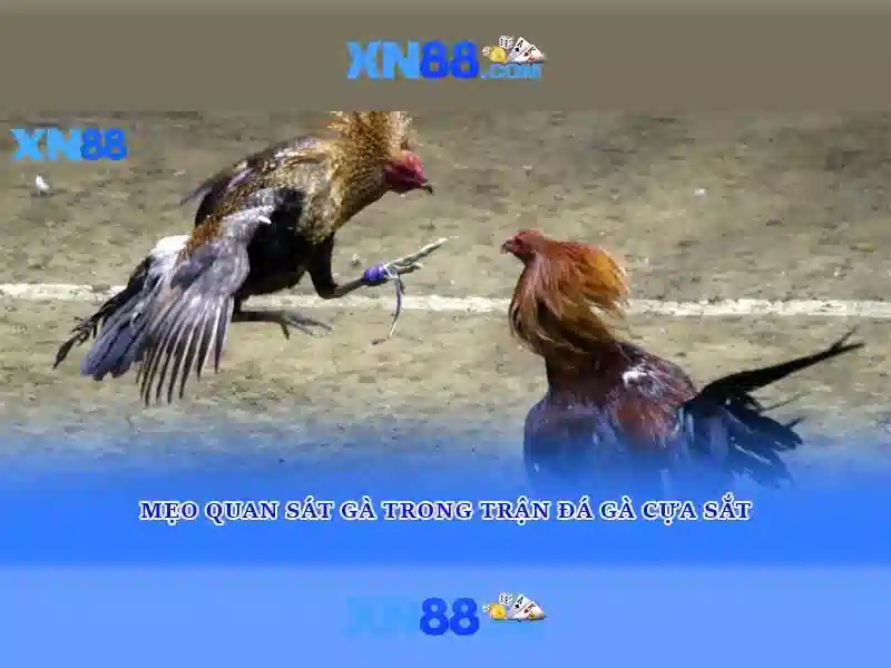 💎888slot club app💎