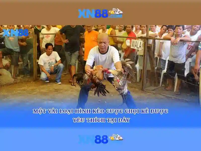  Slot Việt Nam - XN88