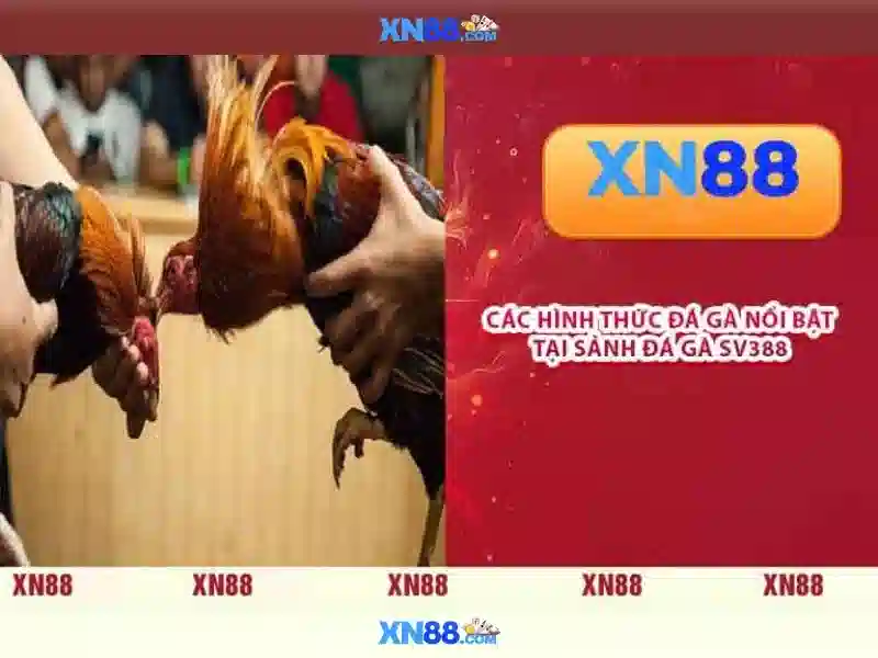 💎888slot 646 777💎