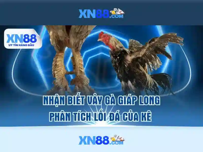 💎khung hình phạt cho tội đánh bạc💎