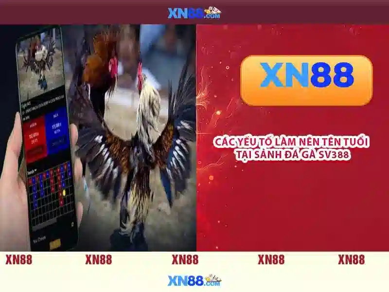 💎nha cai uy tin org💎