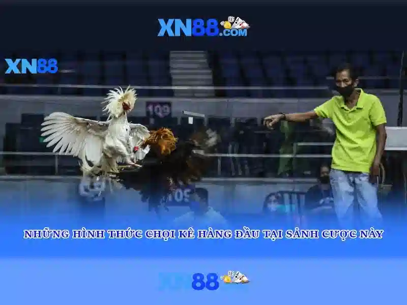 💎888 sòng bạc💎