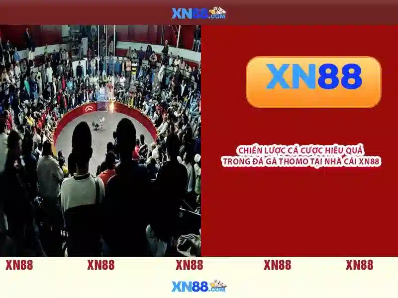 💎fabet trực tiếp bóng đá💎 - fabet bị chặn - fabet bảo trì