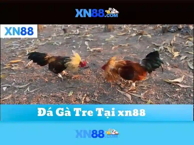 💎xn88 download apk latest version💎