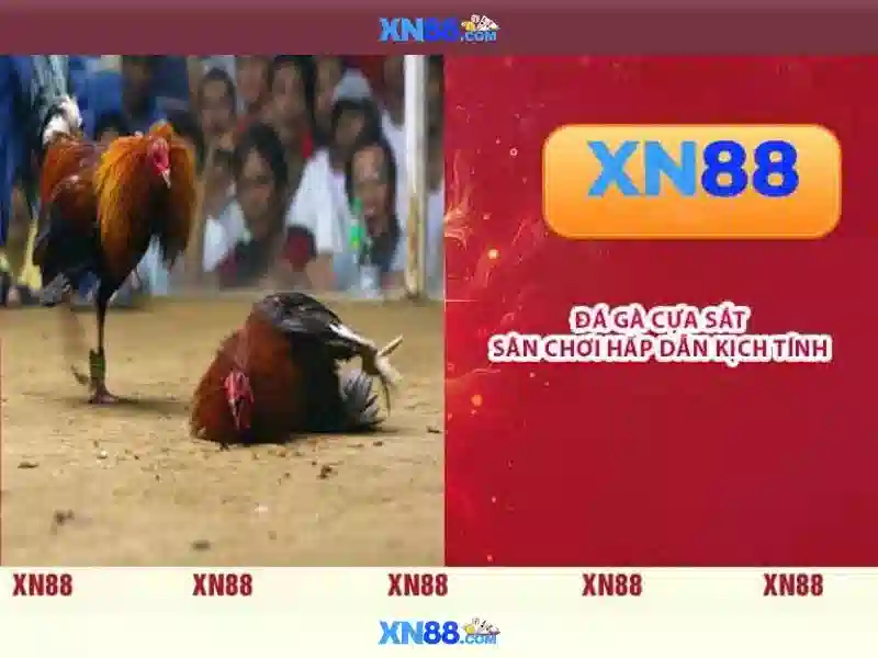  dịch vụ Slot - XN88