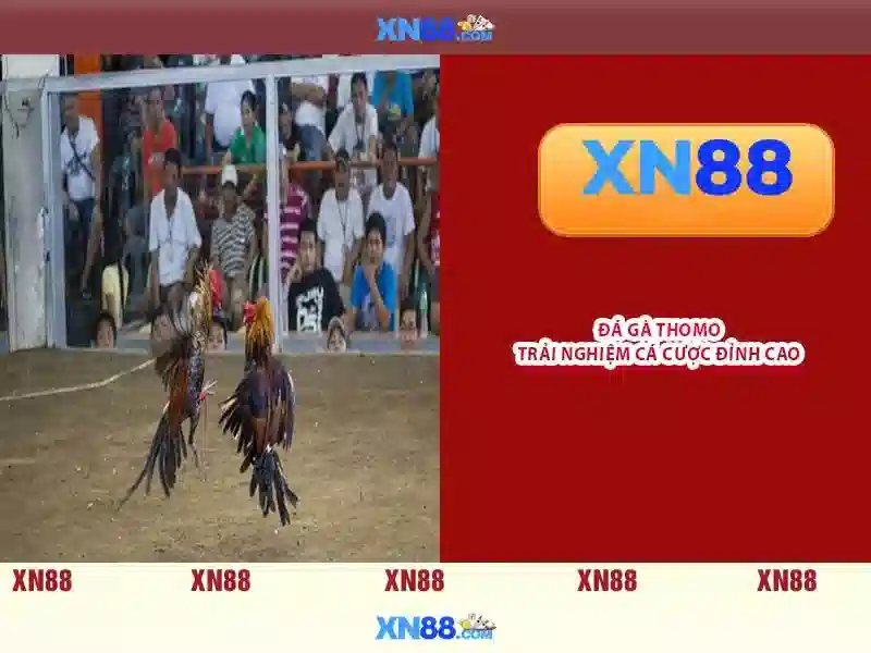 💎hb88 live arena💎