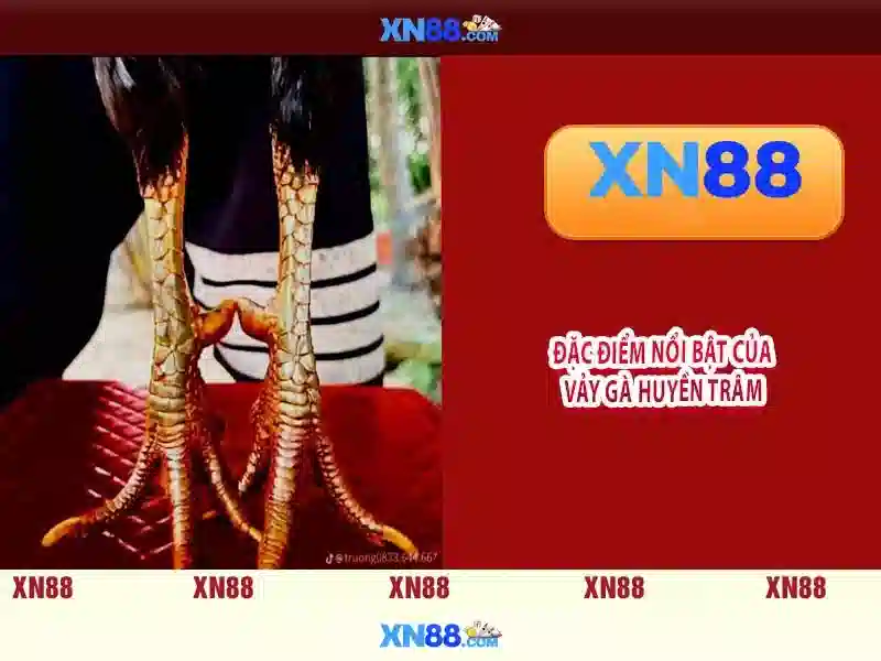 💎ca cuọc 365💎