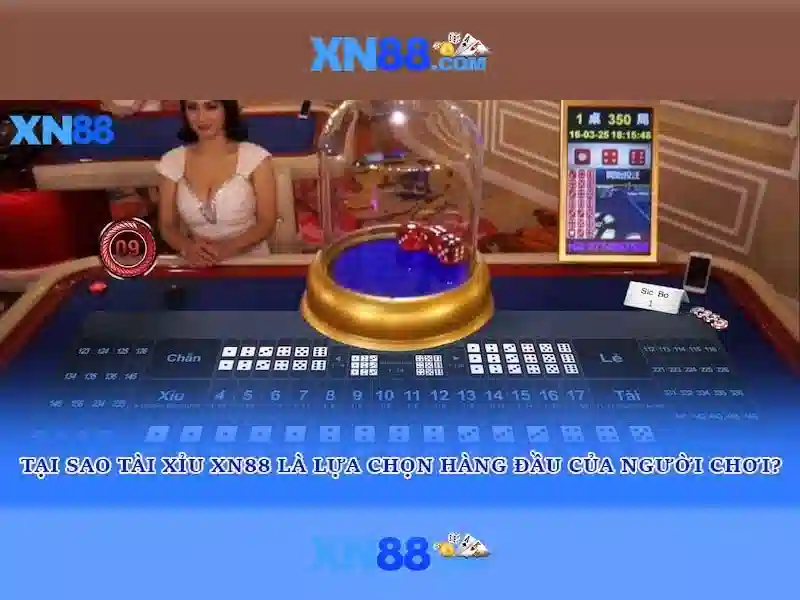 💎lucki8 nhà cái💎