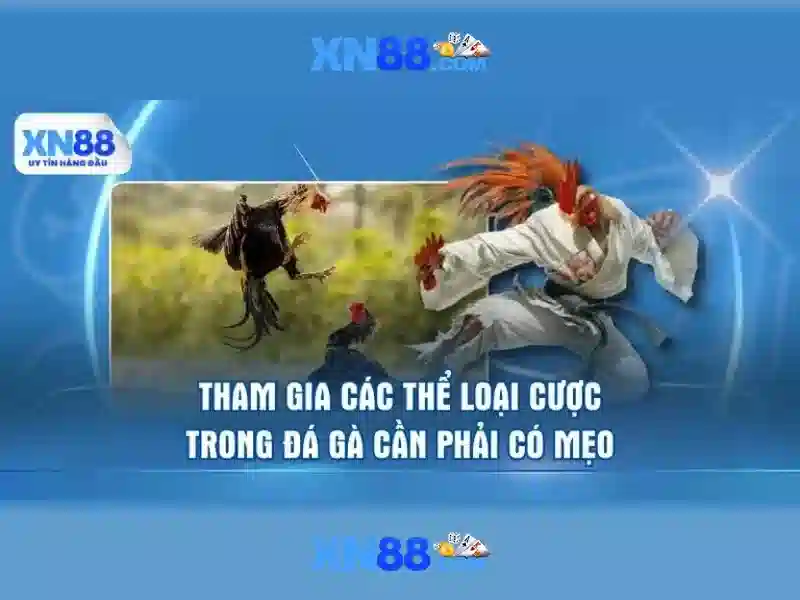 💎nhà cái tỉ số💎