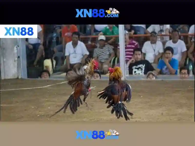 💎bác sống đời đời múa💎