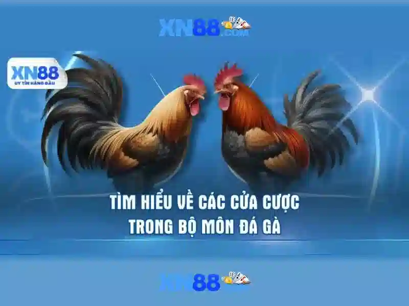 💎trang cá cược bóng đá icu💎