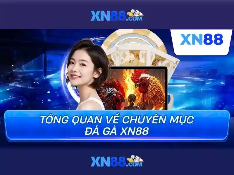  hỗ trợ khách hàng - XN88