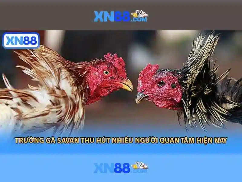 💎cách cai rượu bia tại nhà💎