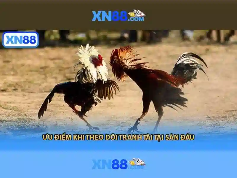 💎lucky win slots apk💎