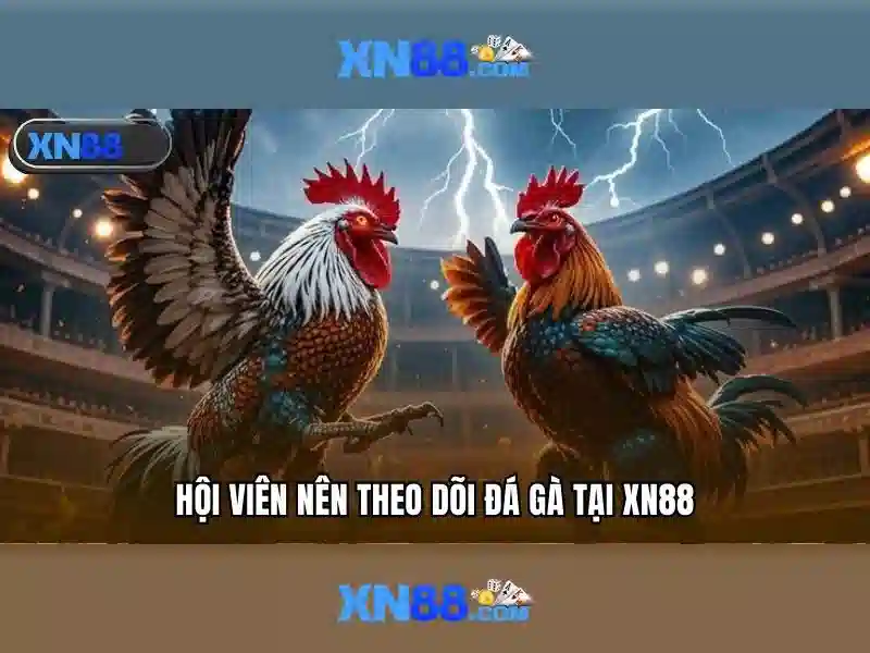 💎tổ chức đánh bạc công nghệ cao💎