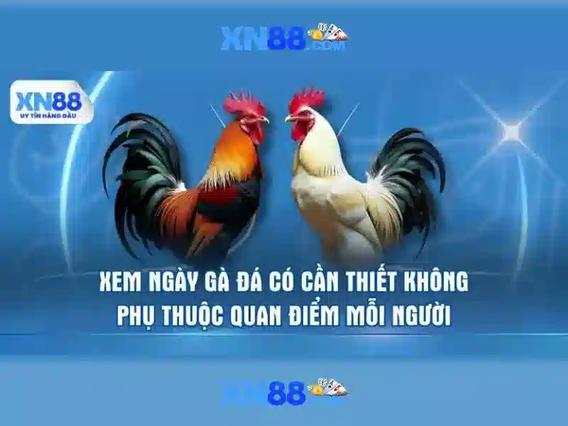 💎đánh bạc nghìn tỷ💎