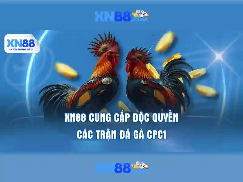 💎cá cược thể thao điện tử💎