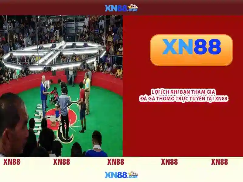 💎nhà cái rr88 hồ chí minh💎