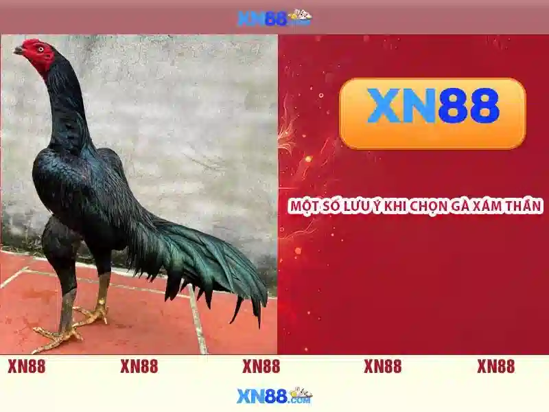 💎slot game slot game xn88💎