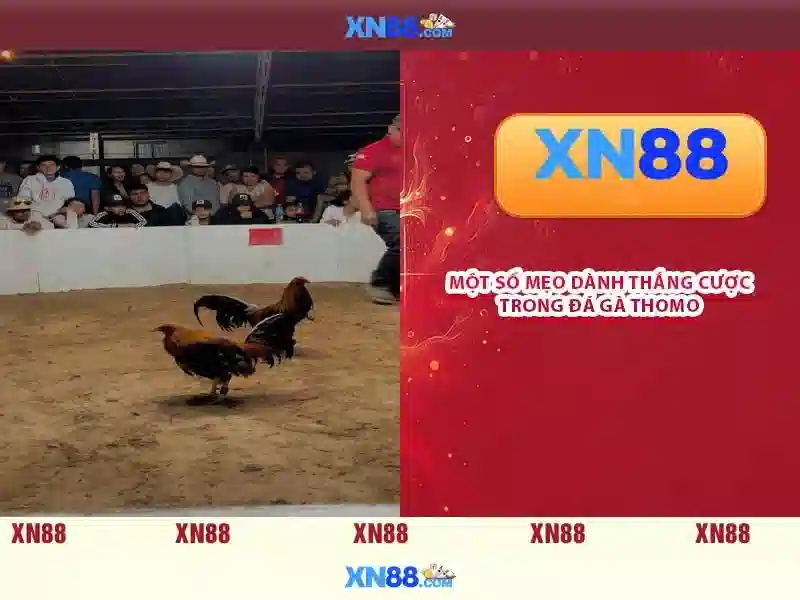  trải nghiệm Slot - XN88