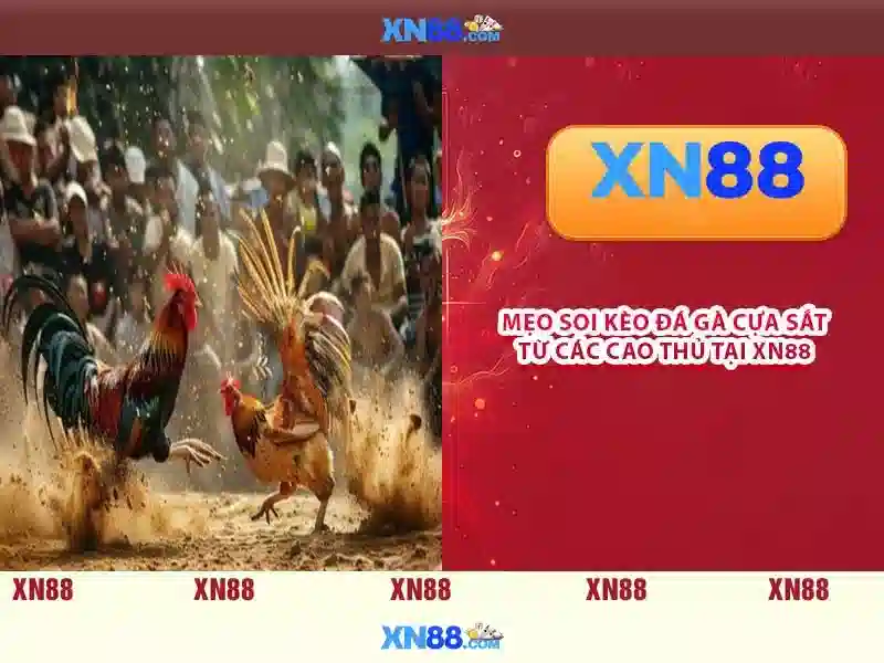 💎keo nha cai .com.vn💎