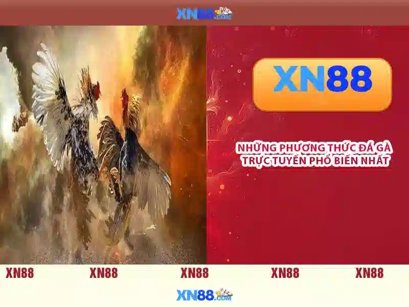 💎tỷ lệ bóng đá cá cược kèo ma cao💎