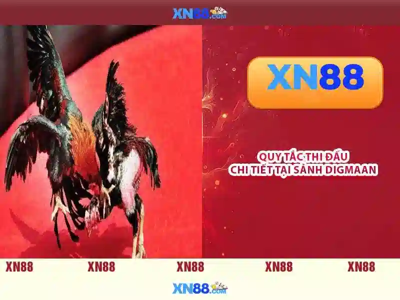 Tổng Hợp Các Phương Thức Nạp Tiền XN88 Phổ Biến Nhất 2026 - XN88