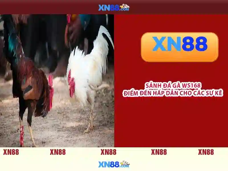 💎ewallet slot 888💎 - www 888 slot - 888 casino migliori slot
