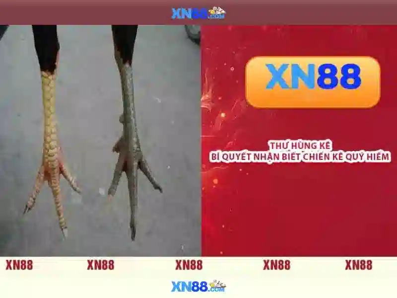 💎siêu âm bác sĩ danh cường💎