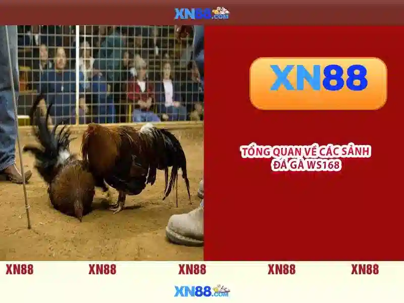 💎tiệm đánh bóng bạc💎