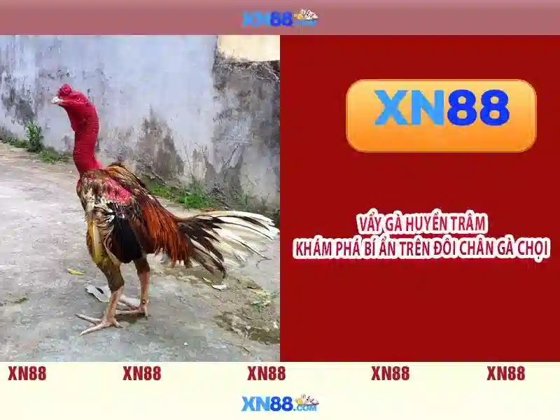 XN88 – Link Truy Cập Nhanh Cho Người Chơi Slot 2026 - XN88