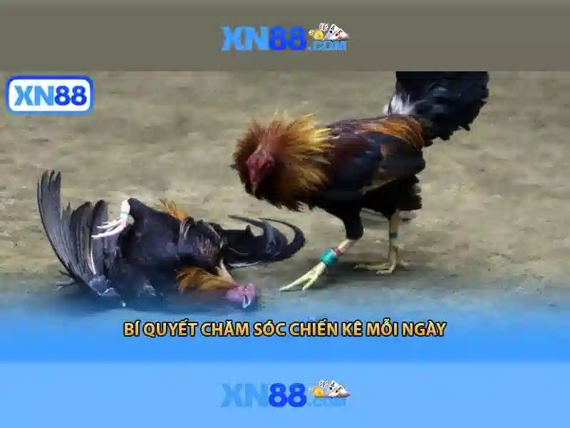 💎nhà cái for88 nhà cái for88 for88💎