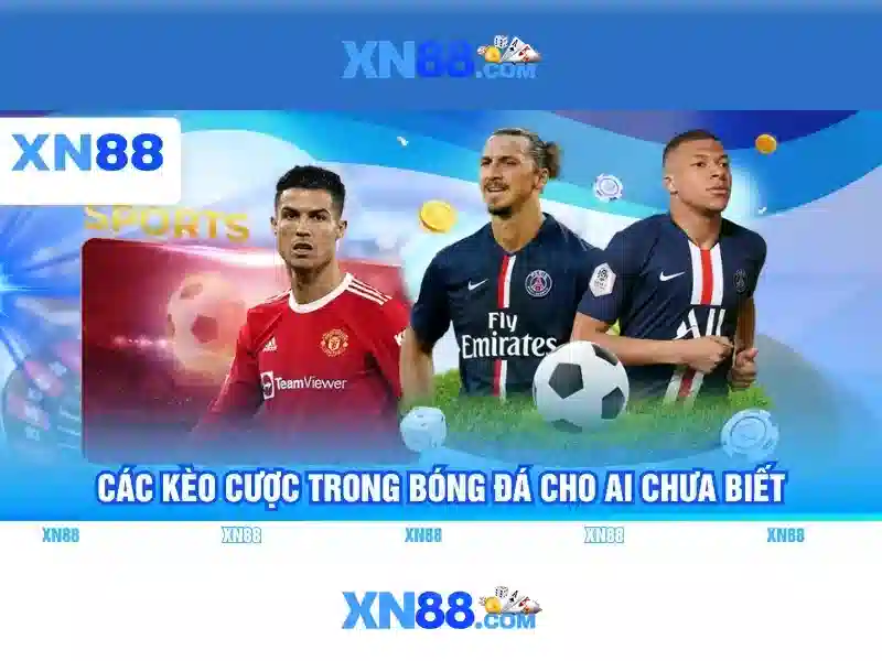 💎kèo nhà cái trực tiếp kèo nhà cái💎