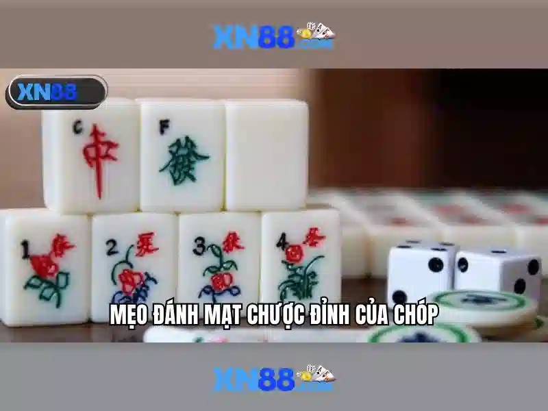 💎nhà cái s666 ở đâu💎