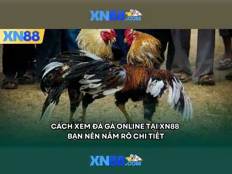 💎khuyến mãi sv88💎 - game sv88 - sv88 trực tiếp bóng đá