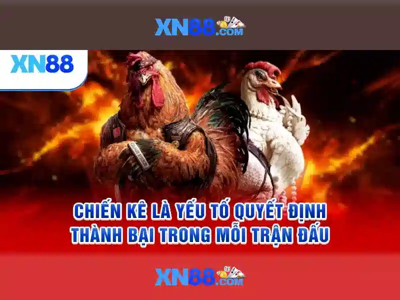  tải xn88 - XN88